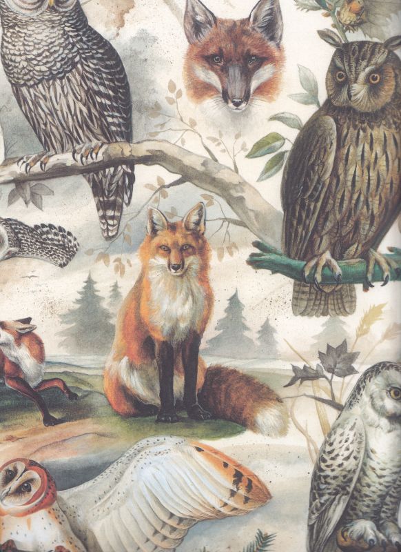 Fox & Owl